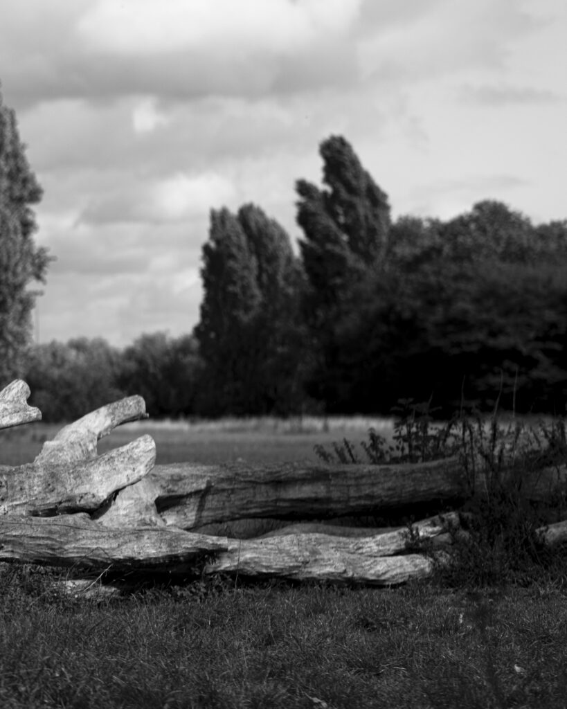 ___EDITORIAL-LAYOUTS-IG