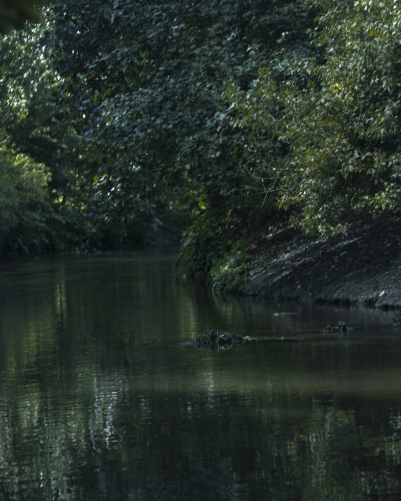 ___EDITORIAL-LAYOUTS-IG