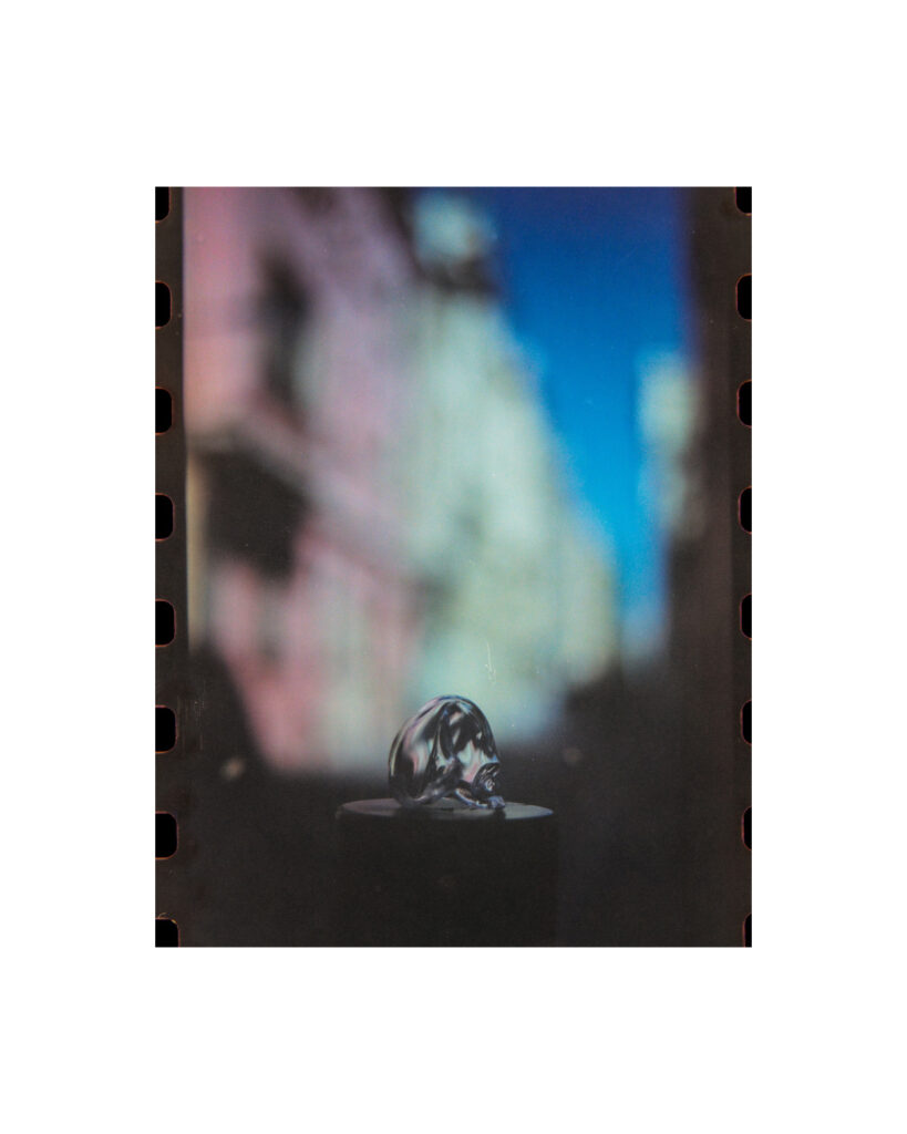 Editorial / THE PINK PRINCE MAGAZINE