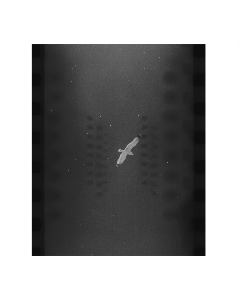 Editorial / a2z fashion magazine